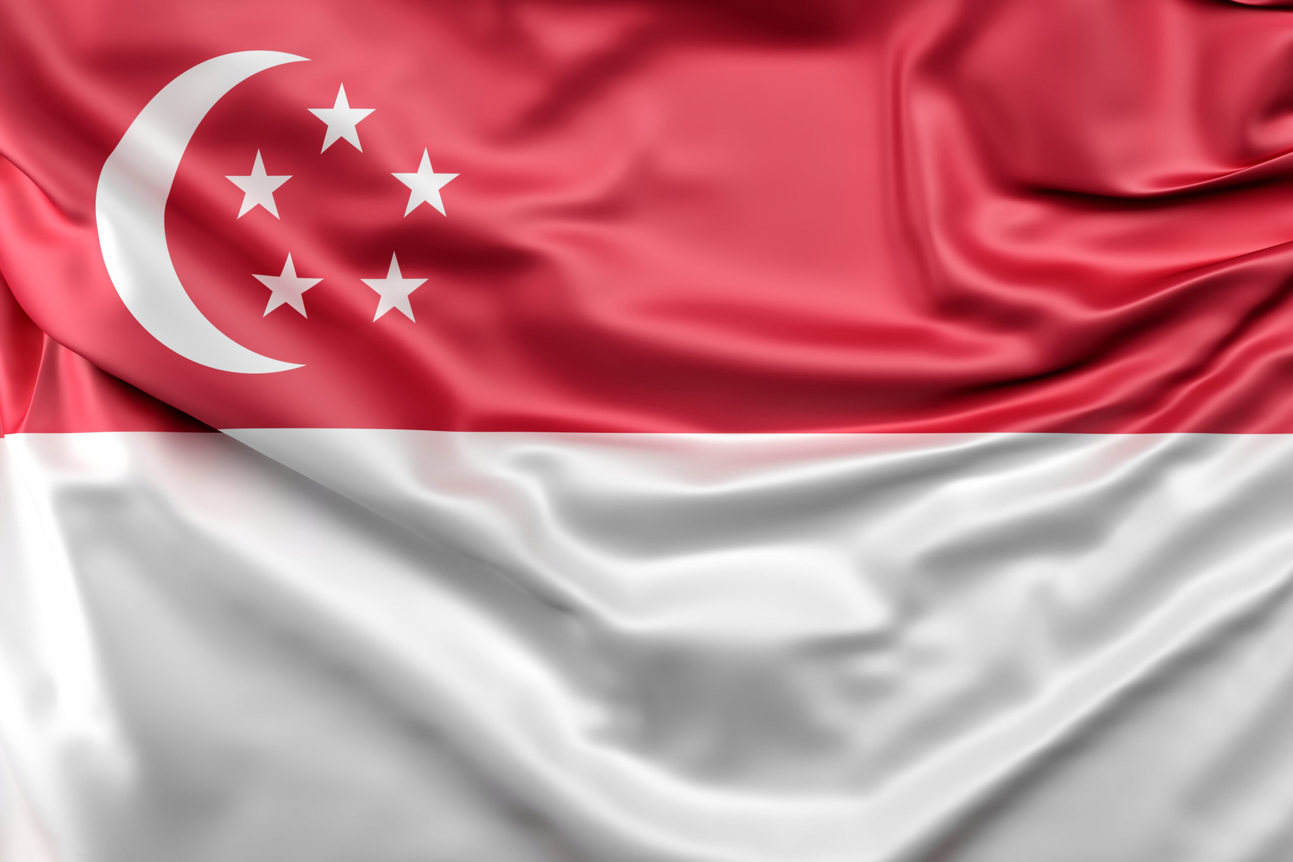 flag of singapore